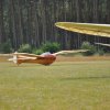 DSC_5854 (800x531)